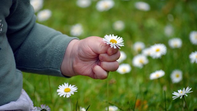 Arven etter alkoholen