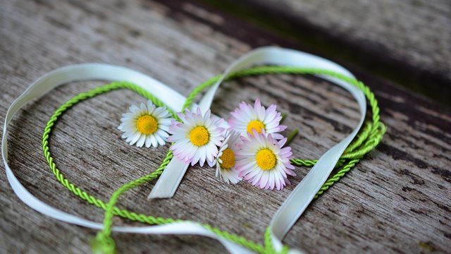 Har du tid og overskudd til frivillig arbeid?