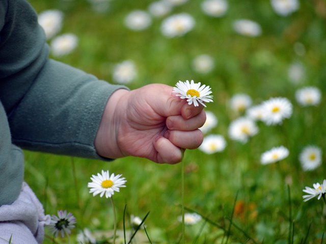 Arven etter alkoholen