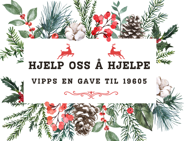 Julehøytiden –En utfordrende tid for mange.